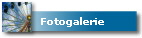 Fotogalerie